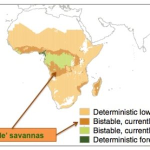Map of Bi-stable savannas