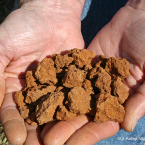 soil aggregates