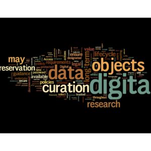 Digital Curation Wordle