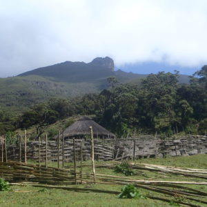 Bale Mountains National Park, Ethiopia