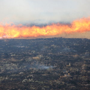 Control burn at shortgrass steppe research site, Colorado