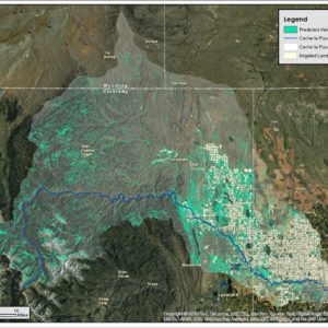 Model output predicting palustrine wetlands locations in the Cache la Poudre