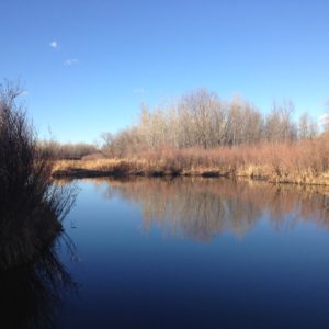 River pond in winter