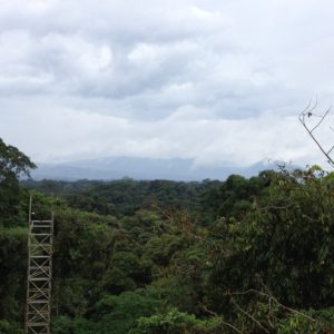Eddy covariance tower in Costa Rica