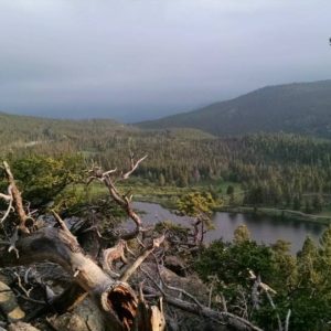 View above Bear Lake in RMNP