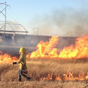 Researcher sets controled burn at Konza Prairie Biological Station