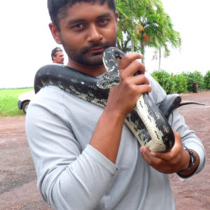 Vyas Dhaval holding large constrictor snake