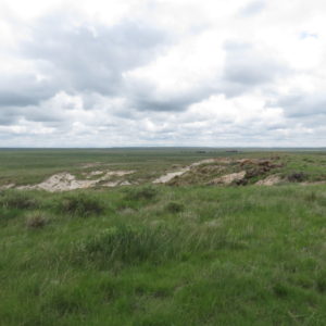 Pawnee National Grasslands, view from to of hill in spring