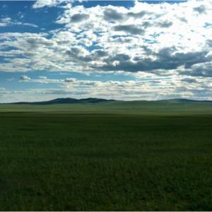 View from the bus en route to Erguna Grassland in the steppe of Inner Mongolia.