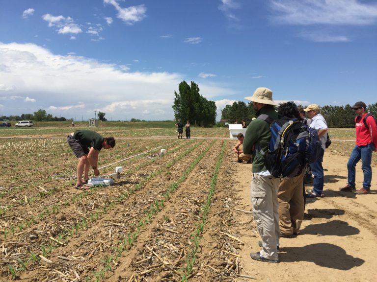 Summer Soil Institute – Natural Resource Ecology Laboratory at Colorado ...