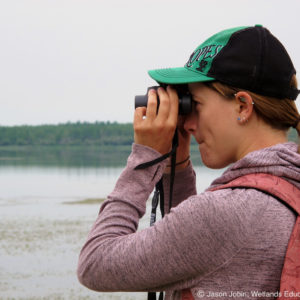 Person watching birds through binoculars