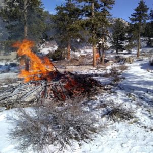 Slash pile of woody debris on fire